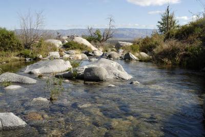 Down stream in Tahquitz Canyon