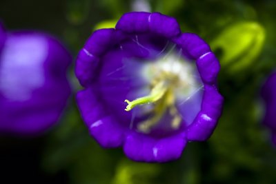 g3/56/441856/3/122919468.6G2Jdpef.jpg