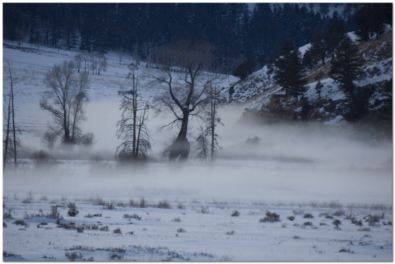 Yellowstone February 2010