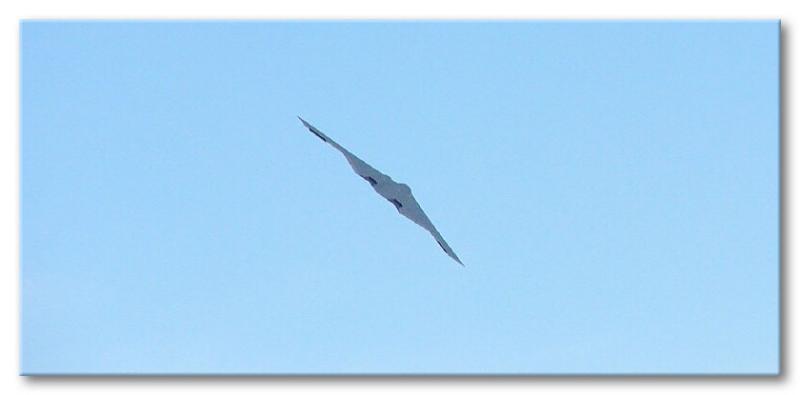 B2 Bomber