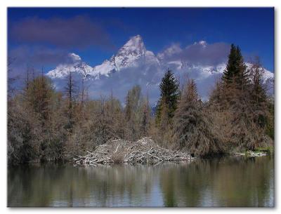 Grand Teton National Park  2003 & 2004