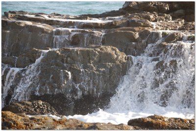 Tide Pool