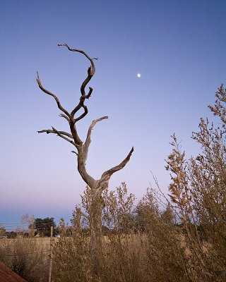 5D_10146.jpg
