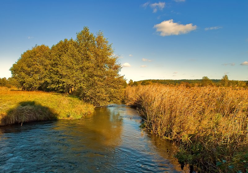 Wieprz River