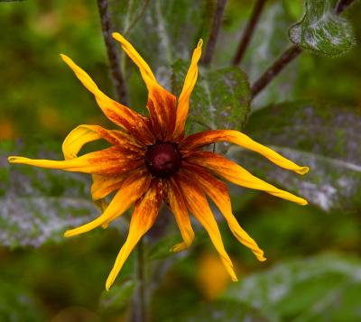 End of Autumn