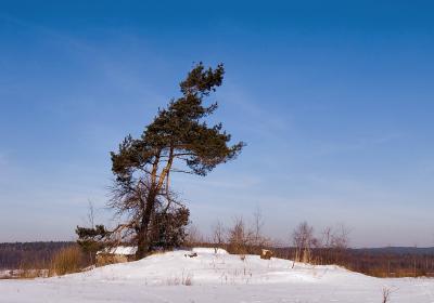 Podemszczyzna