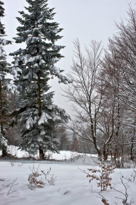 g3/56/466856/3/95191944.kFLeoJrZ.jpg