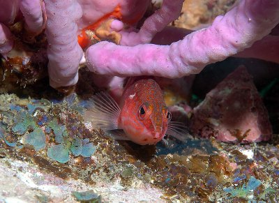 DSC_3469.jpg
