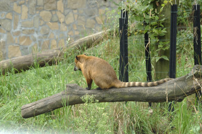 DSC_3227.jpg