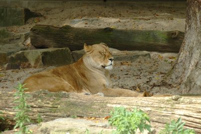 DSC_3228.jpg