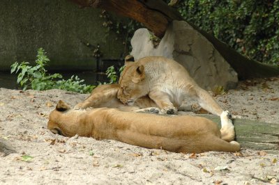 DSC_3232.jpg