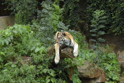 DSC_3233.jpg