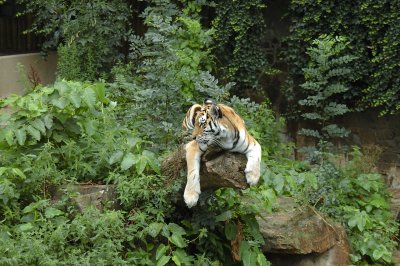 DSC_3234.jpg