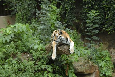 DSC_3235.jpg