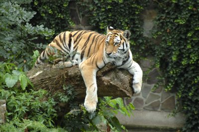 DSC_3236.jpg