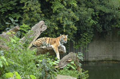 DSC_3240.jpg