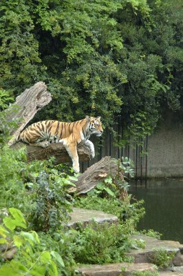 DSC_3241.jpg