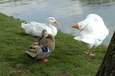 DSC_5593.jpg
