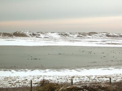 Knokke Brugge