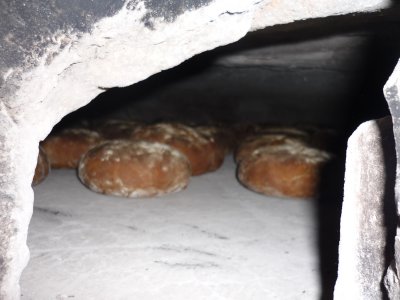 Bread in the oven