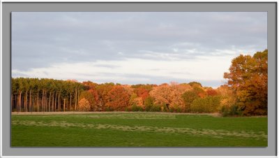 IMG_6676_w.jpg