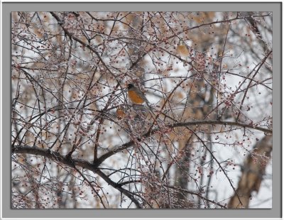 IMG_8227_w.jpg