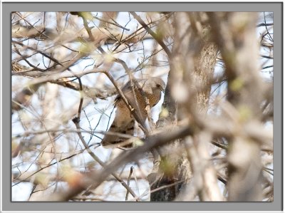 IMG_8552_w.jpg