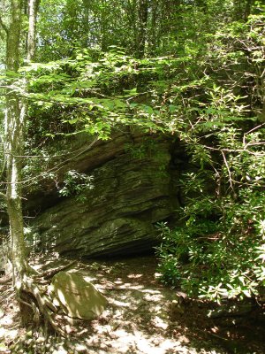 058_DSC04515.jpg