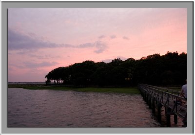 141_IMG_0248_w.jpg