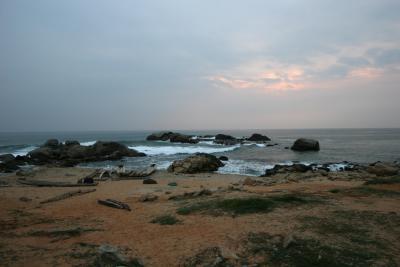 IMG_6599w.jpg