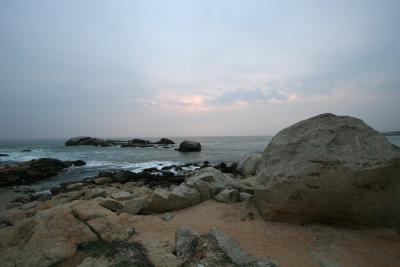 IMG_6600w.jpg