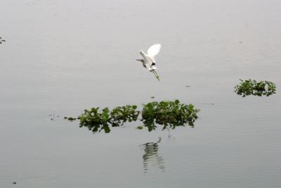 IMG_6750w.jpg
