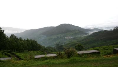 IMG_6901w.jpg