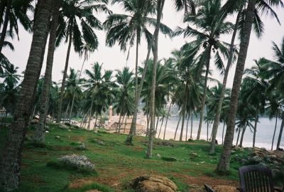 Grant07-R1-043-20.jpg