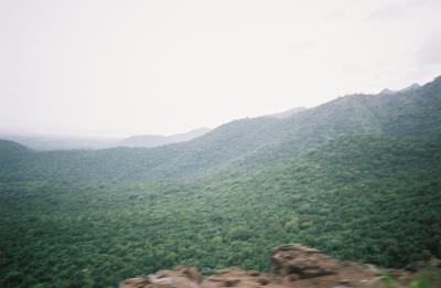 Grant07-R3-039-18.jpg