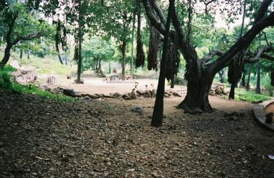 Grant07-R7-048-22A.jpg