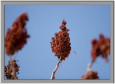 IMG_5881_w.jpg