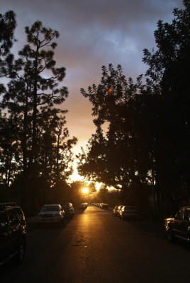 SUNSET ON MY STREET.jpg