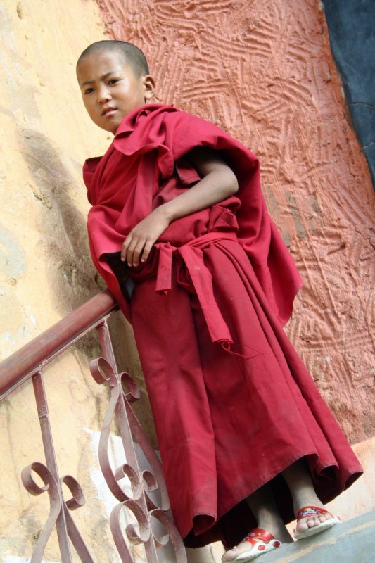 junior monk.jpg
