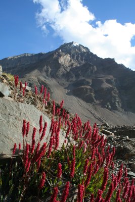 a dash of red.jpg