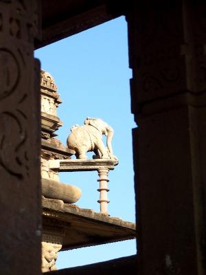 elephant view.JPG