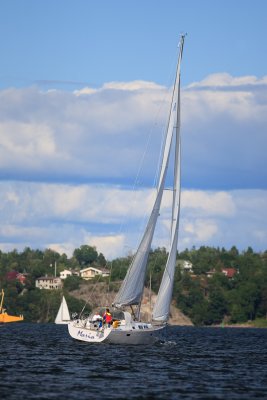 IMG_1316.jpg