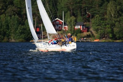 IMG_1352.jpg