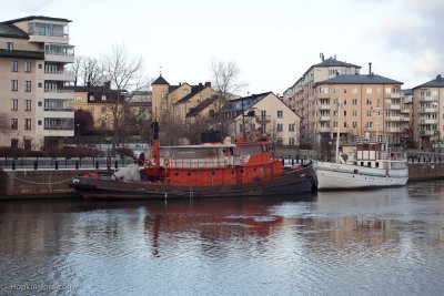 IMG_7621.jpg