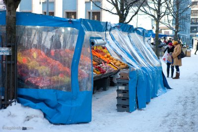 IMG_8767.jpg