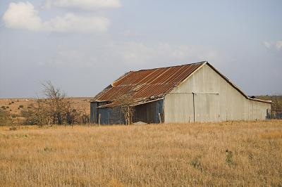 IMGP9412-1-800.jpg