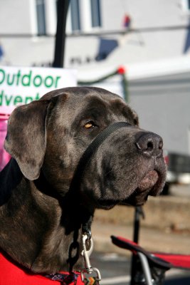 120 Pound Prince.