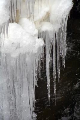 february_06