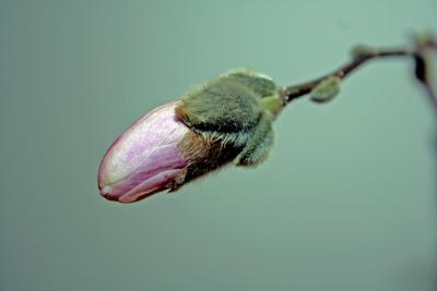 A SIgn That New Beginnings Are Possible.
