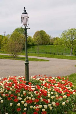 Spring has sprung!